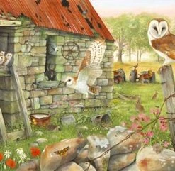 House Of Puzzles Dawn Flight